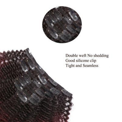 Wholesale Clip in Hair Extensions 100% Human Hair Clip Hair Extensions Natural Hair