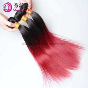 New Arrived 100% Real Human Hair Extensions Cuticle Virgin Malaysian Hair Silky Straight Ombre Color 1b/Red