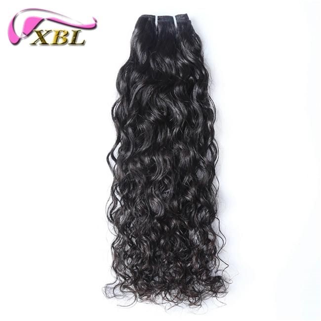 Factory Wholesale New Arrivals Fast Shipment Water Wave Virgin Hair