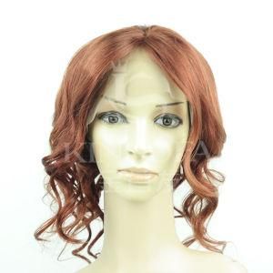 2016 Virgin Brazilian Human Hair Front Lace Wig, 100% Human Hair