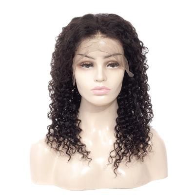 Unprocessed Virgin Hair Wig HD Lace Front 13X6 Curly Human Hair Wig
