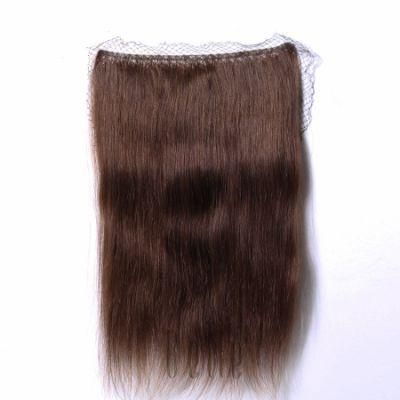 Belle 100% Top Quality Remy Hair Fishnet Hairpiece Hair Extension