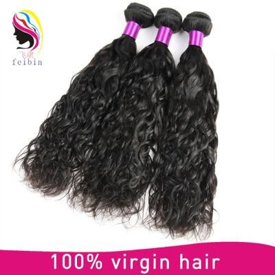 Top Quality 8A Mink Virgin Brazilian Hair Natural Wave