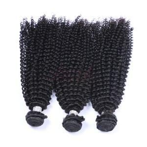 Natural Color Kinky Curly Hair Extension