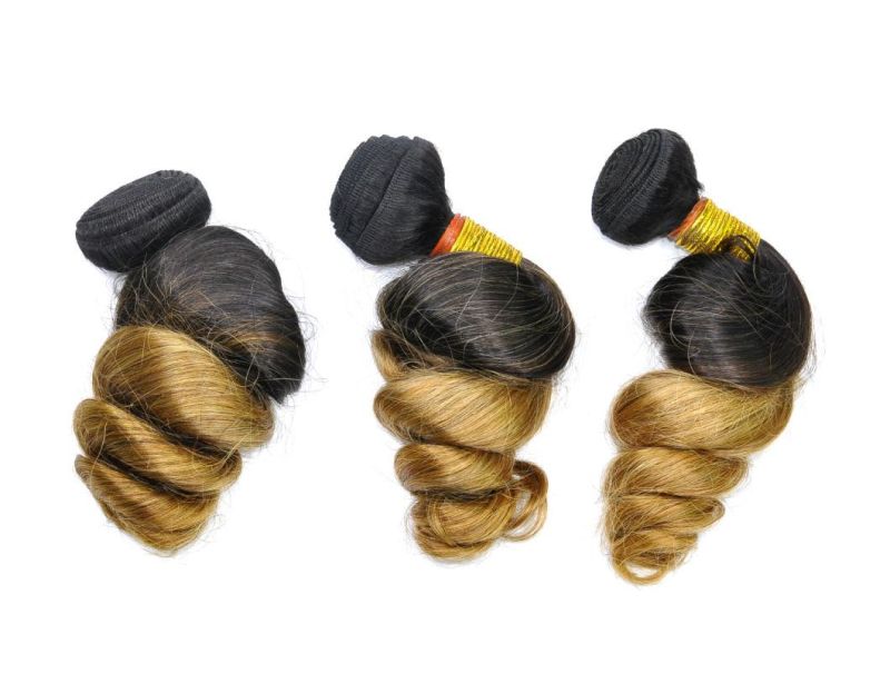 Brazilian Ombre Remy Human Hair Weft at Wholesale Price with SGS Approved (Loose Wave #1B/27)