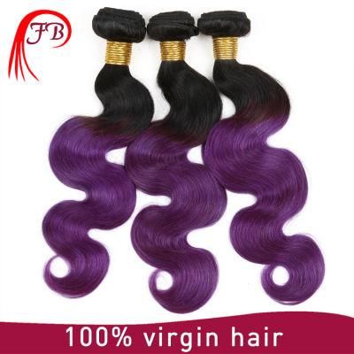 Body Wave Ombre 1b/Purple Indian Remy Human Hair Weave