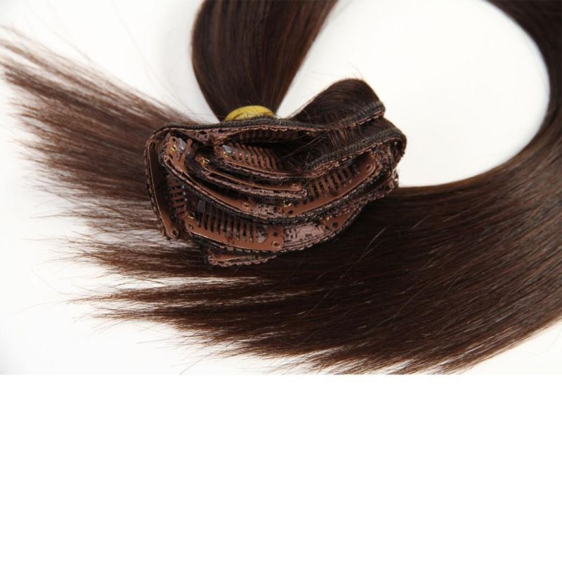 Clip on Human Hair Extensions Brazilian Virgin Hair Clip in Hair Extensions #2