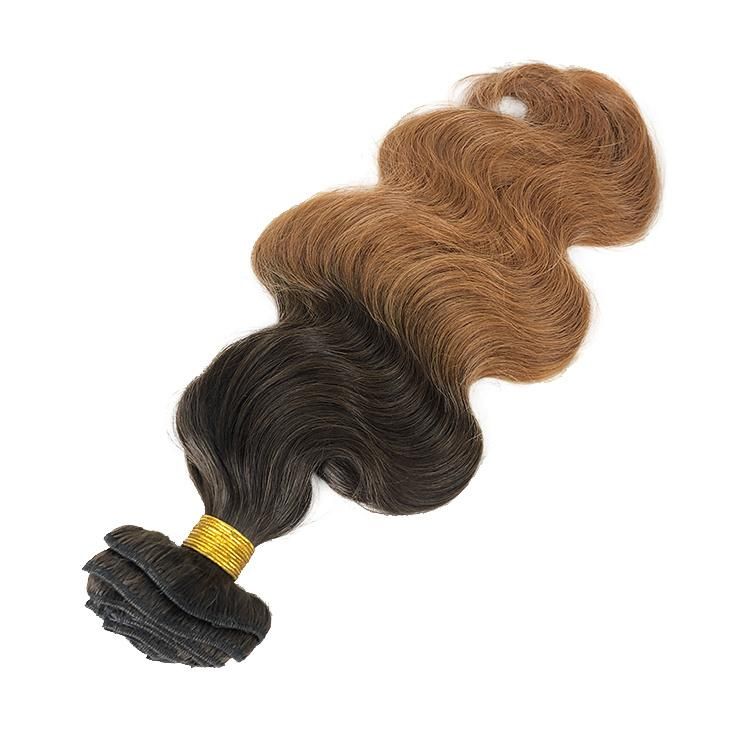 100% Brazilian Virgin Human Hair Body Wave Human Hair Clip in Extensions #T2/30