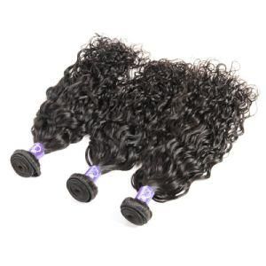 Raw Brazilian Virgin Wholesale Human Hair Bundles Vendors