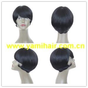 Human Hair Wig