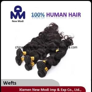 Top Quality 100% Natural Brazilian Virgin Human Hair (ADW041)