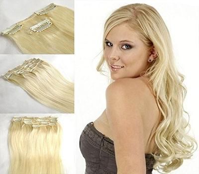 Supply Clips on Hair Extension Unprocessed Virgin Hair Remy Hair