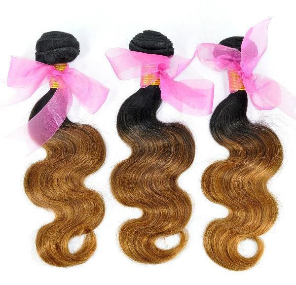 Brazilian Ombre Remy Human Hair Weft at Wholesale Price with SGS Approved (Body Wave 1B/30)