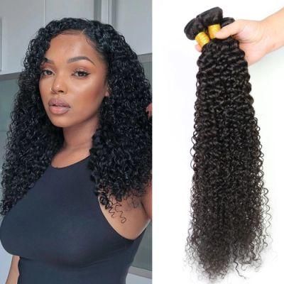 Factory Wholesale Kinky Curly Brazilian Virgin Human Hair Bundles Natural Black 24 Inch