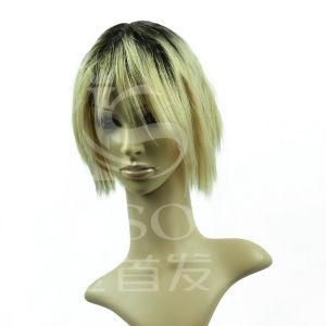 100 % Human Hair Machine Made Wig (kinsofa (7887)