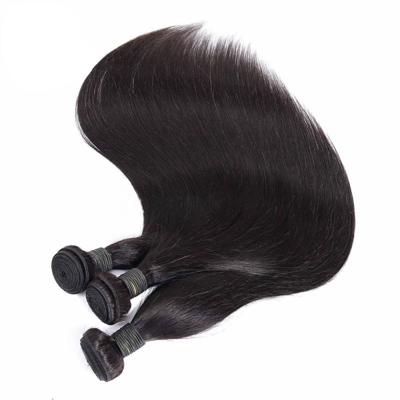 Straight Brazilian Hair Bulk Ombre Hair Wig Hair Bundles with Closure
