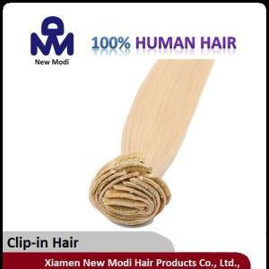 Brazilian Virgin Hair Clip in Hair Extension