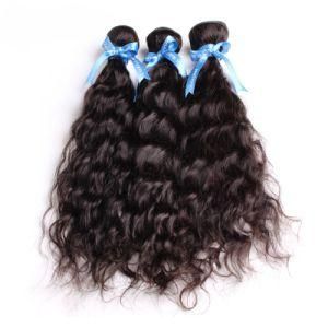 Double Drawn Raw Virgin Unprocessed Human Malaysian Hair Extension