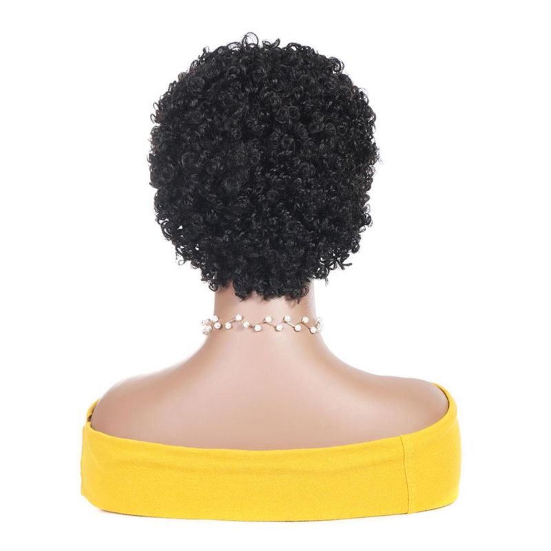 Kinky Curly Pixie Cut Wigs Short Human Hair Wig with Lace Front Human Brazilian Hair Wig for Black Women