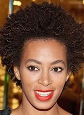100% Human Hair Wig (31119)