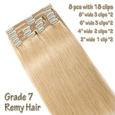 Double Weft 100% Human Hair Full Head 8PCS 100gram 18inch Clip in Hair Extension (AV-CH160-20-613)