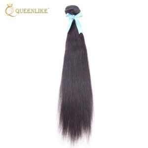 Virgin Cuticle Aligned Raw Brazilian Human Hair Extension