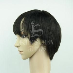 Top Grade 100% Human Hair Wigs (Kinsofa 248319)