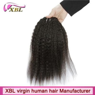 Factory Kinky Straight Brazilian Remy Hair Braiding