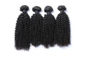 Brazilian Hair Product Kinky Curly 1b Color Natural Color Black Hair Virgin Human Mink Hair