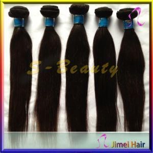 Double Layers Brazilian Virgin Hair Weft Straight (SB-B-STW)