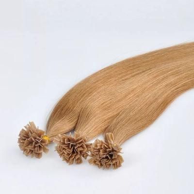 Wholesale V-Tip Human Hair, V-Tip Hair Extensions.