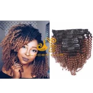 Kc33 Dark Auburn Brown Kinky Curly 8&quot;-26&quot; Remy Human Hair for Clip in Hair Extension in Stock