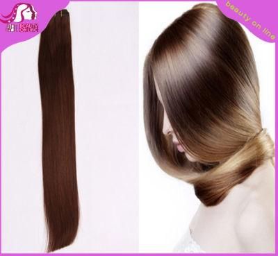 Indian Virgin Remy Human Extension