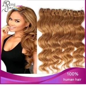 Wholesale Human Hair Body Wave Human Hair