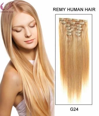 Factory Price Brazilian Human Hair Clip on Hair Extension