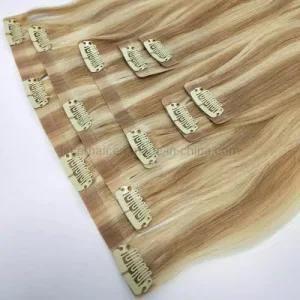 Europe Aliexpress 100% Brazilian Remy Clip Extension Natural Raw Virgin Indian Hair