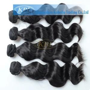 Malaysian 100% Human Hair No Synthetic Hair