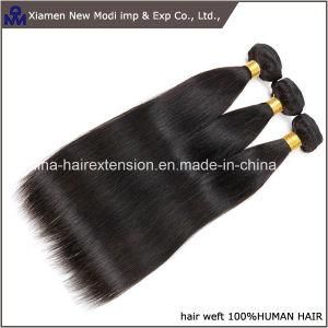 Indian Human Hair Extension Remy Human Hair Weaving