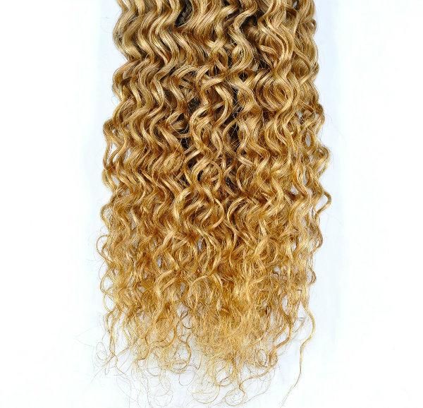 Brazilian Ombre Remy Human Hair Weft at Wholesale Price with SGS Approved (Curly #1B/27)