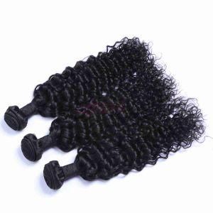 Malaysian Deep Curl Remy Human Hair