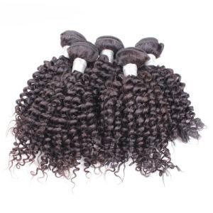 Guangzhou Human 8A Grade Brazilian Raw Virgin Hair Bundles