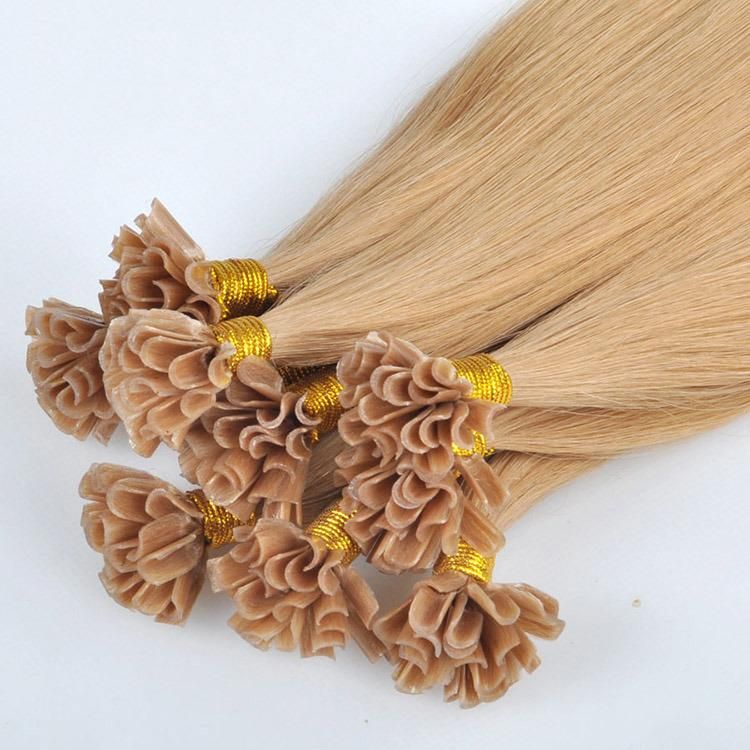 Qingdao Factory 100% Human Hair 1g U-Tip Human Hair Extensions.