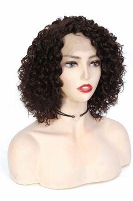 Human Hair Lace Front Wigs 13X4 Lace Short Inch Kinky Curly Hair Wig