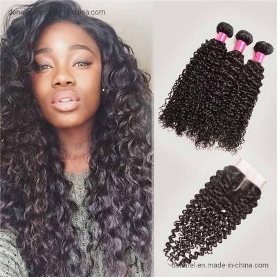 Deep Curly Hair Bundles 30, 32, 34 Inch Human Hair Brazilian Vigin Hair with Closure