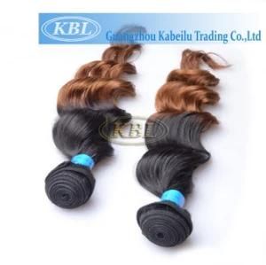 Two Tone Hair, Brazilian Human Hair