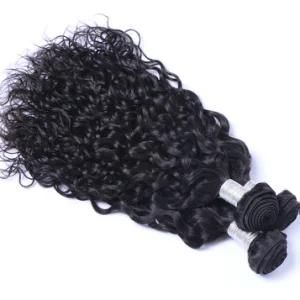 Peruvian Water Wave Bundles Human Hair Weave