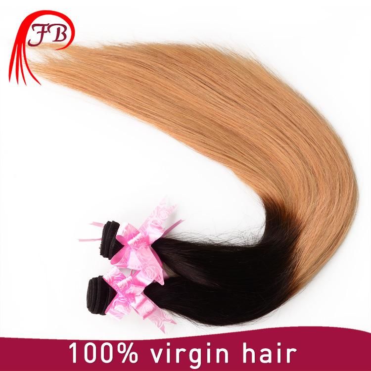 8A Top Quality European Huamn Omber Straight Remy Hair