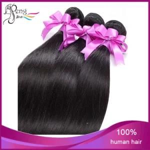 8A Unprocessed Brazilian Virgin Straight 8-32 Hair Weft