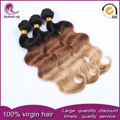 Ombre 2/3t Color Vietnamese Remy Human Hair Weave