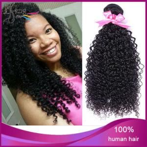 100% Unprocessed Kinky Curly Human Hair